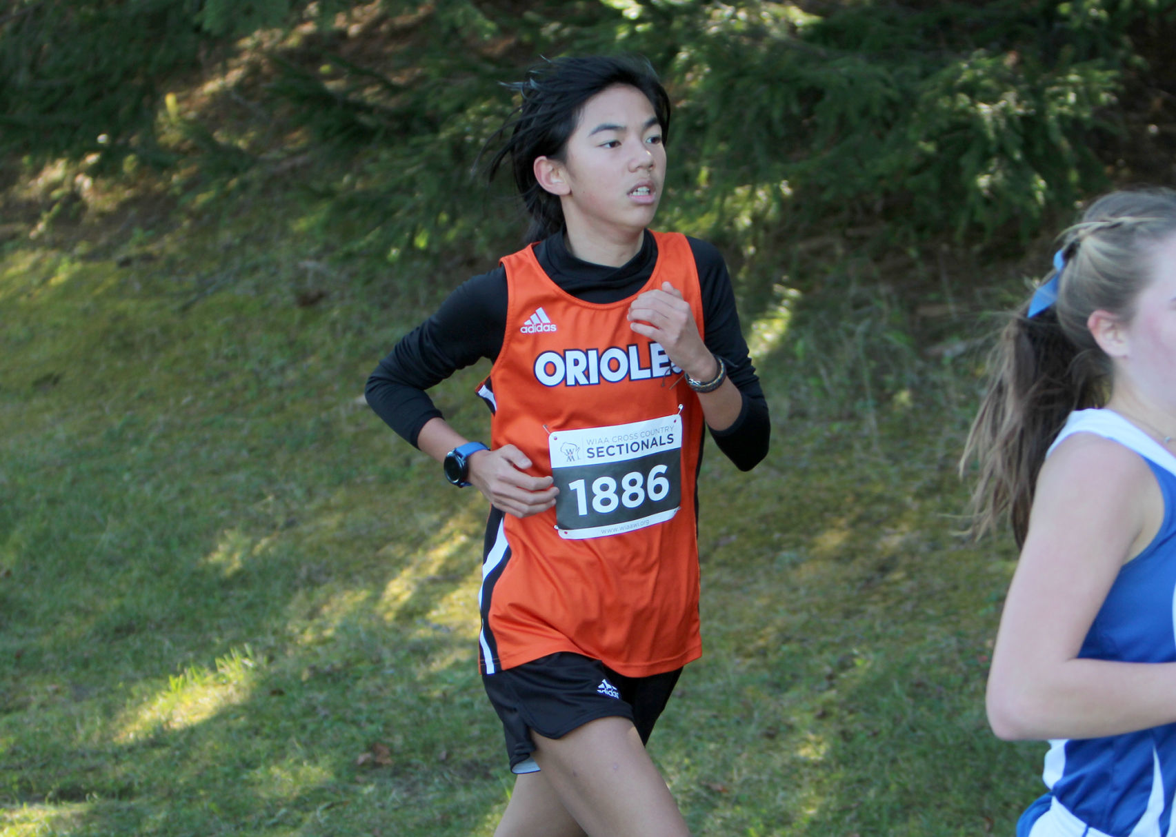 Division 3 Cross Country Sectionals in Boyceville 10-26-19